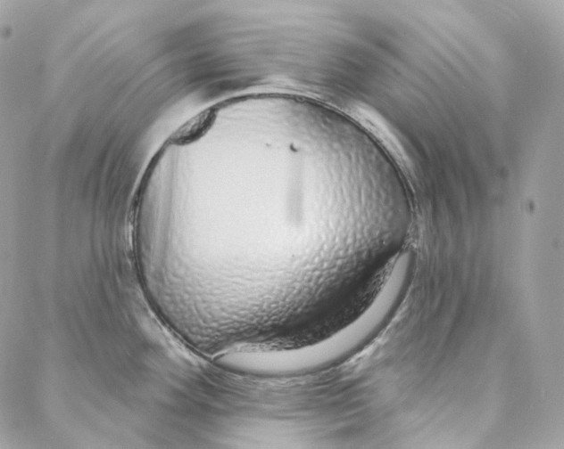 X0000088021292200706011315