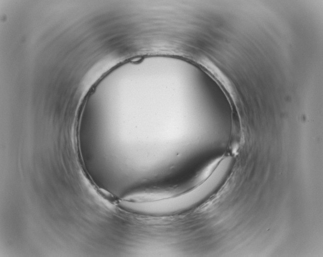 X0000088021293200706011315