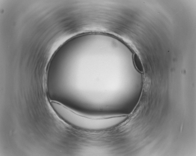 X0000088021295200706011315