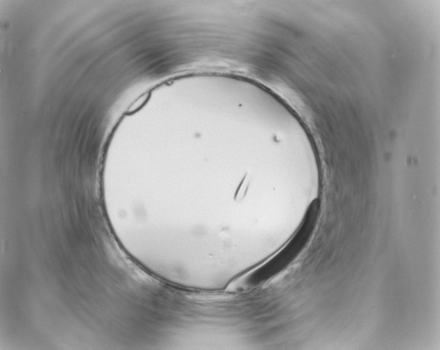 X0000088021296200706011315