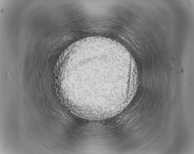 X0000088021297200706011314