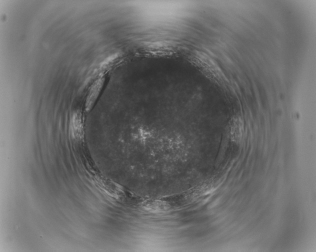 X0000088021298200706011314