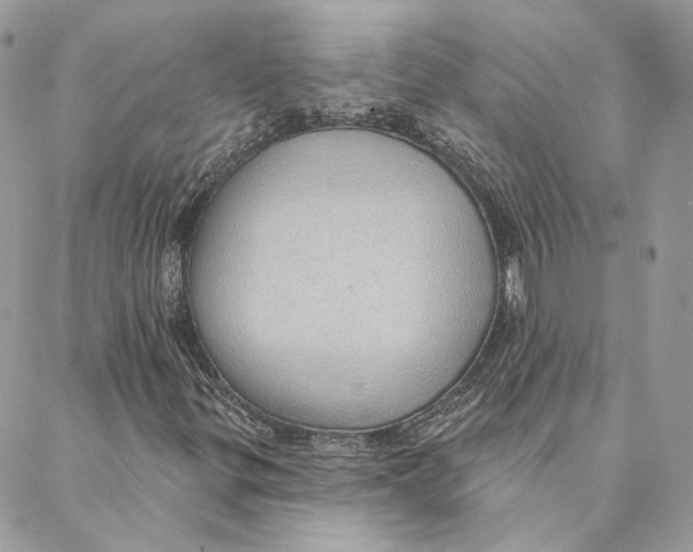 X0000088021299200706011314