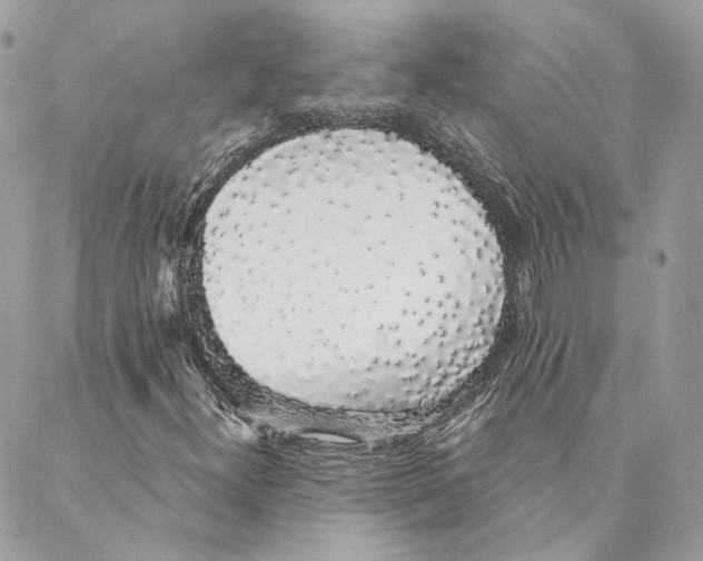 X0000088021300200706011314