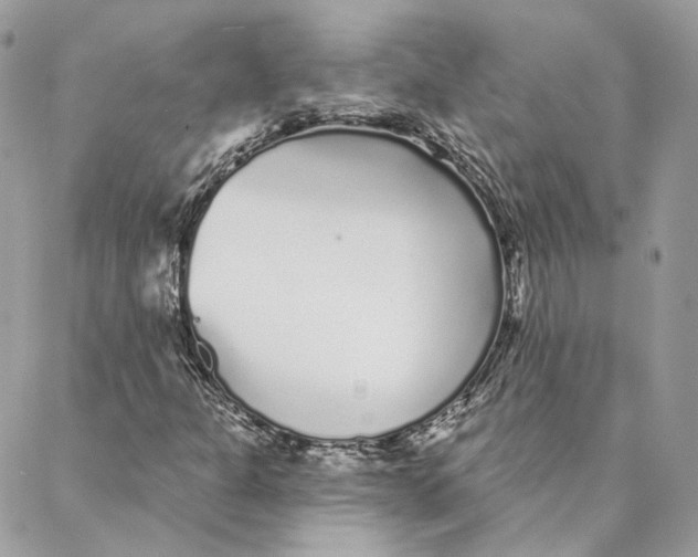 X0000088021301200706011314