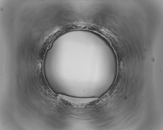 X0000088021302200706011314