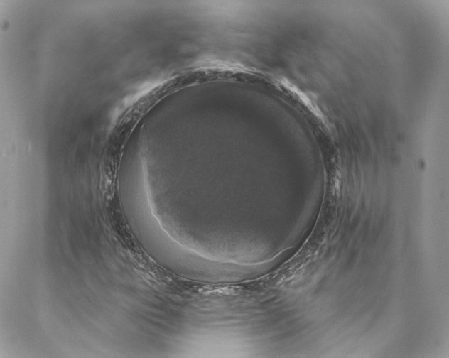 X0000088021303200706011314