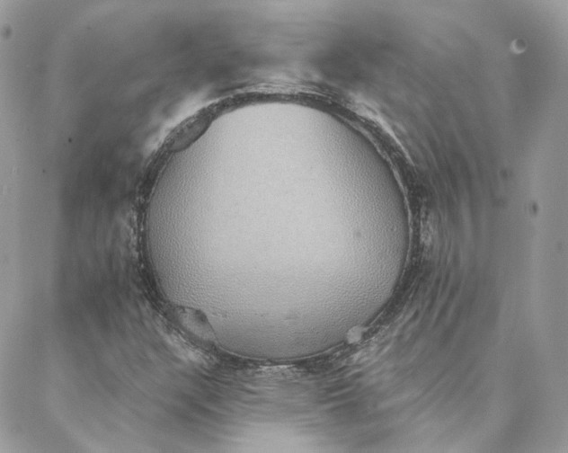 X0000088021304200706011314