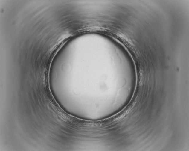 X0000088021305200706011314