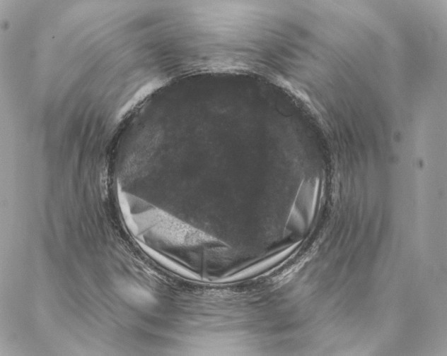 X0000088021306200706011314