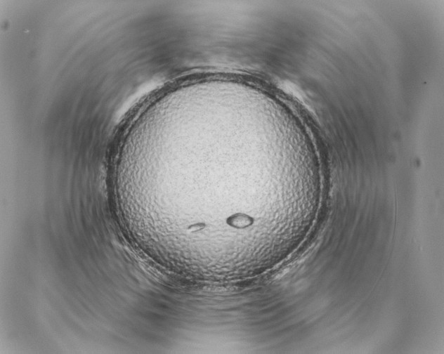 X0000088021307200706011314