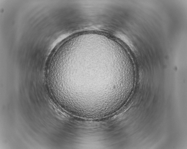 X0000088021308200706011314