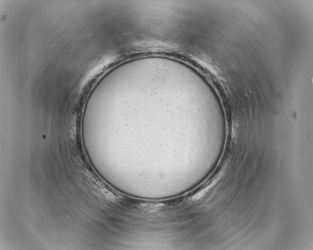 X0000088021309200706011314