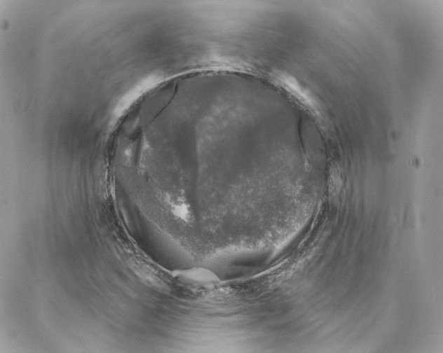 X0000088021310200706011314