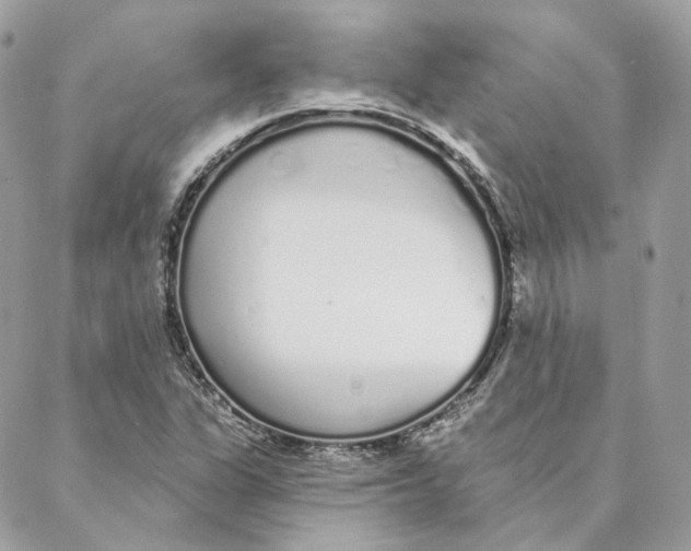 X0000088021311200706011314