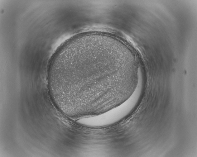 X0000088021312200706011314