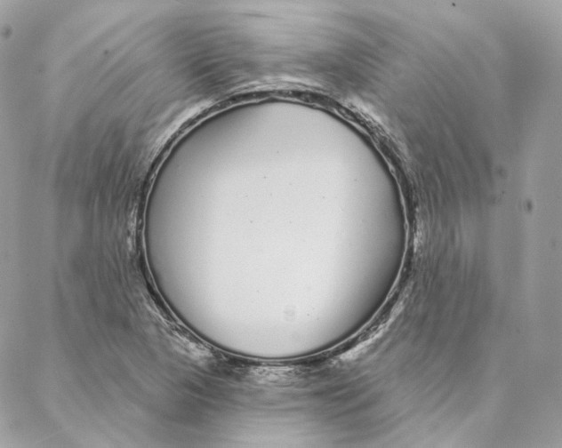 X0000088021313200706011314