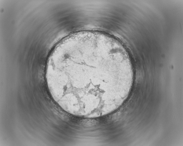 X0000088021314200706011314