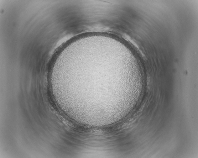 X0000088021315200706011314