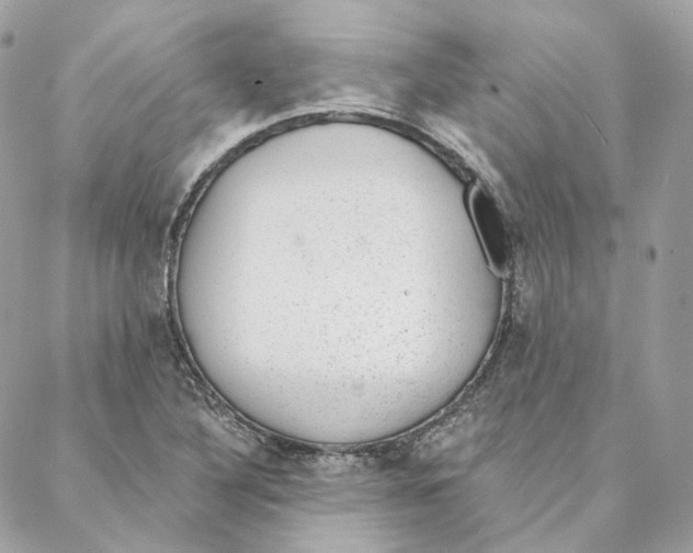 X0000088021316200706011314