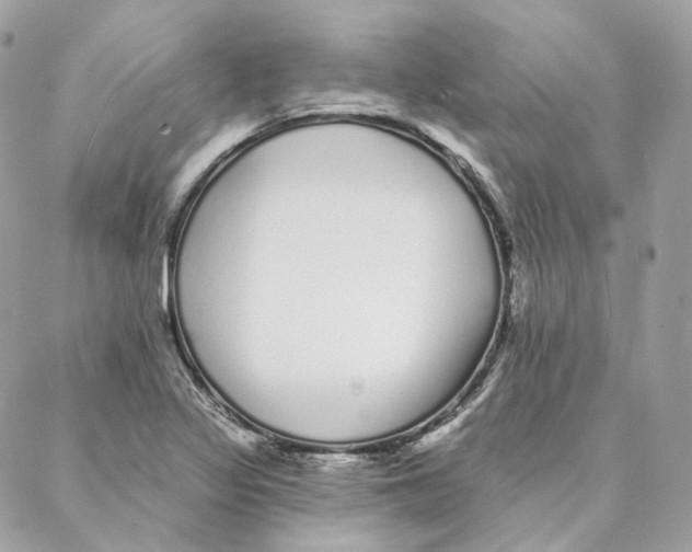 X0000088021317200706011314