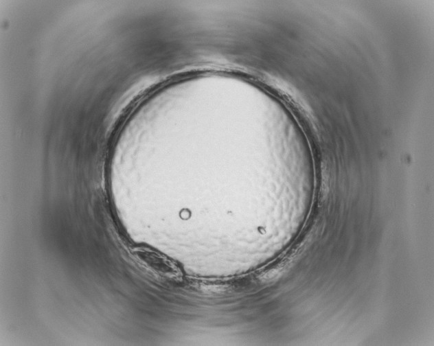 X0000088021318200706011314