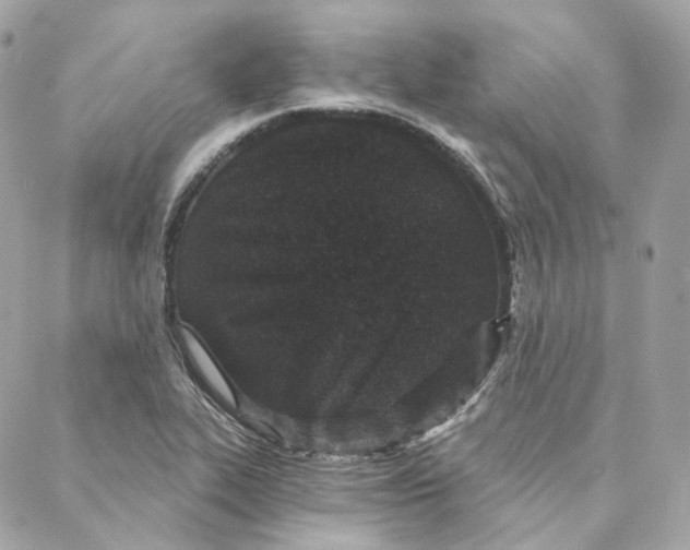 X0000088021319200706011314