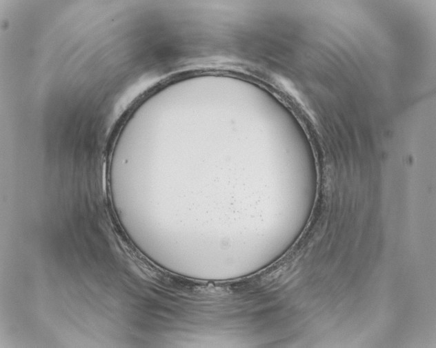 X0000088021320200706011314