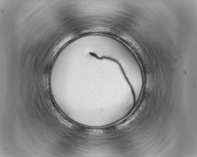 X0000088021321200706011314