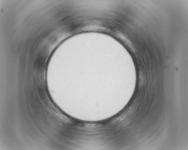 X0000088021322200706011314