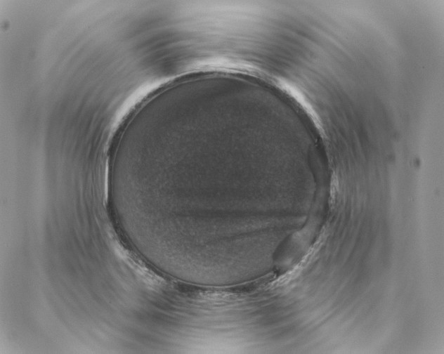 X0000088021323200706011314