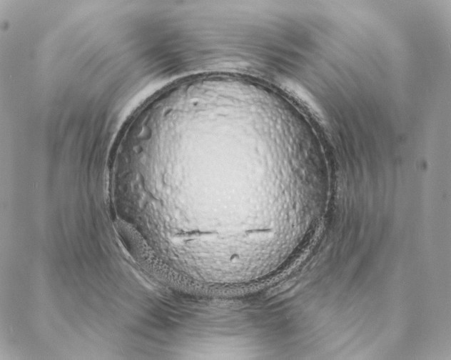 X0000088021324200706011314