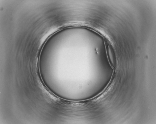 X0000088021325200706011314