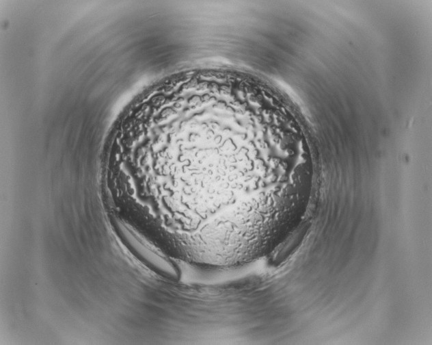 X0000088021326200706011314