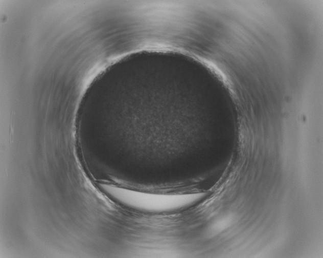 X0000088021327200706011314