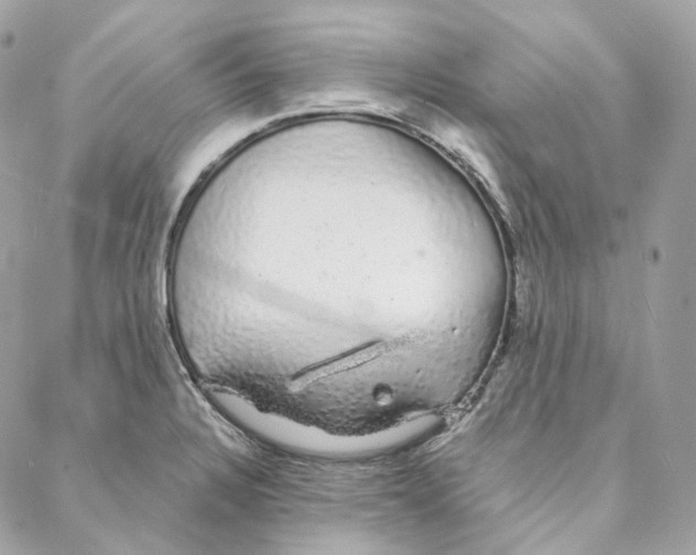 X0000088021328200706011314