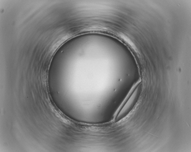 X0000088021329200706011314