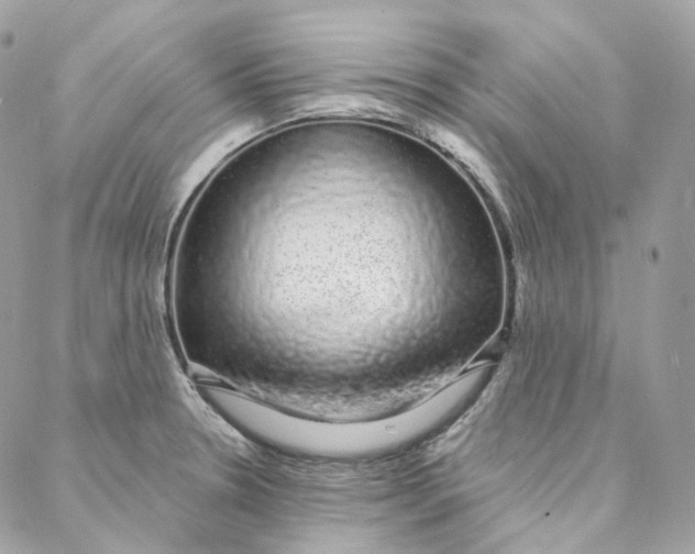 X0000088021330200706011314