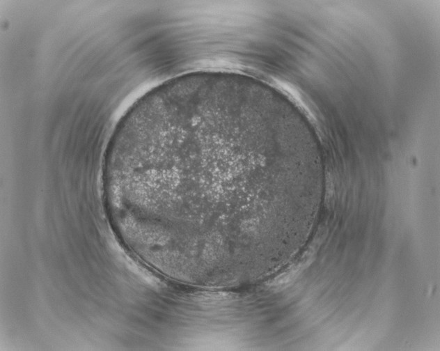 X0000088021331200706011314