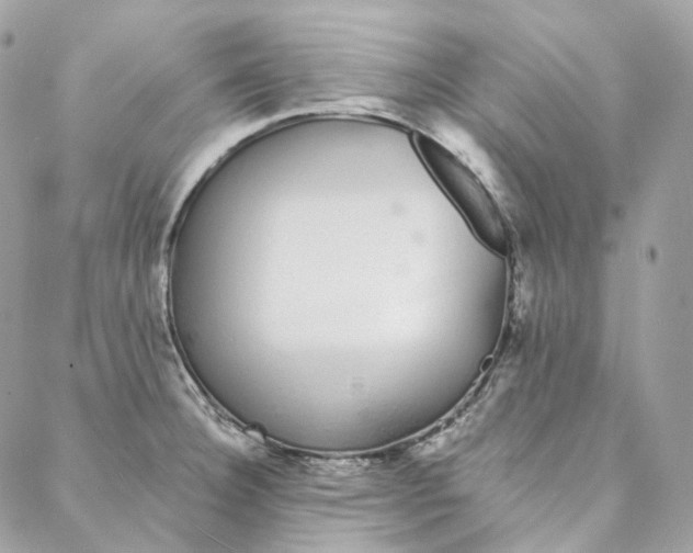 X0000088021332200706011314