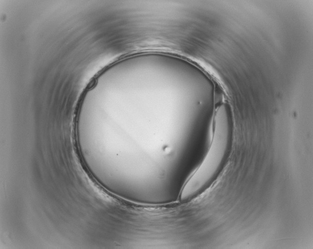 X0000088021333200706011315