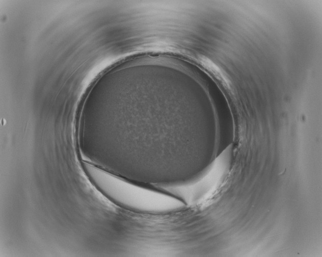 X0000088021334200706011315