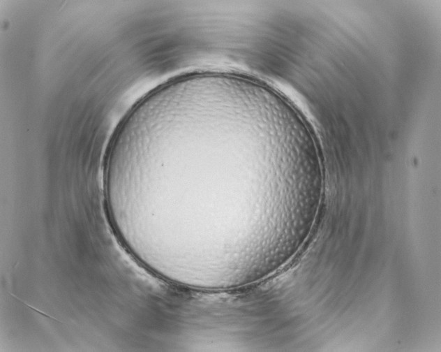 X0000088021335200706011315