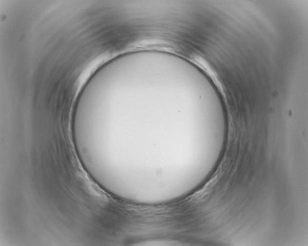 X0000088021336200706011315