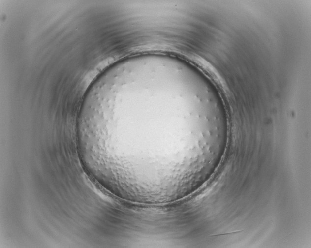 X0000088021337200706011315