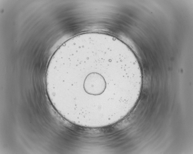 X0000088021338200706011315