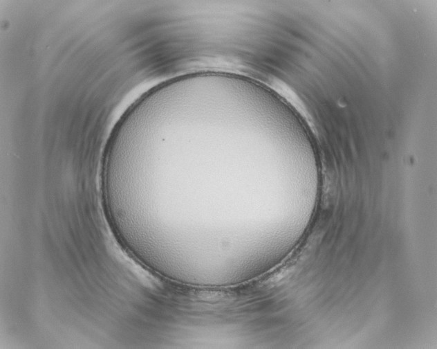 X0000088021339200706011315