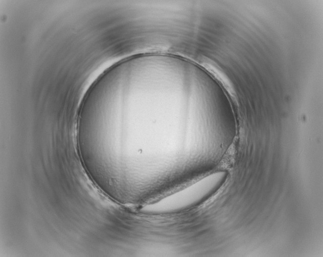 X0000088021340200706011315