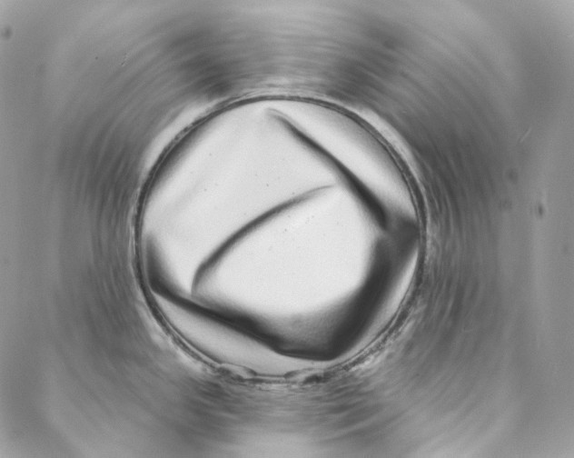 X0000088021341200706011315