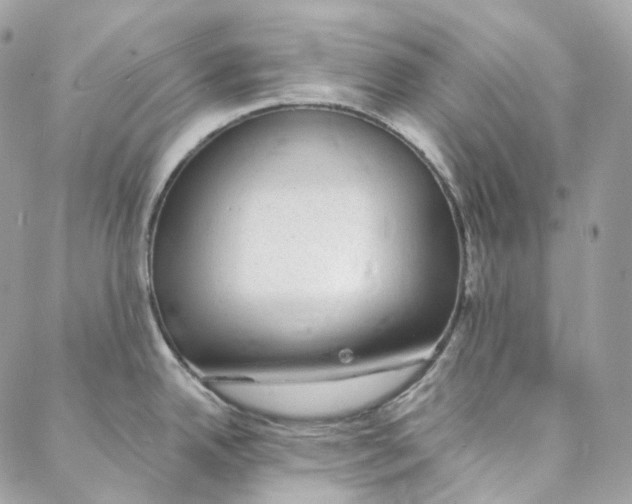 X0000088021342200706011315